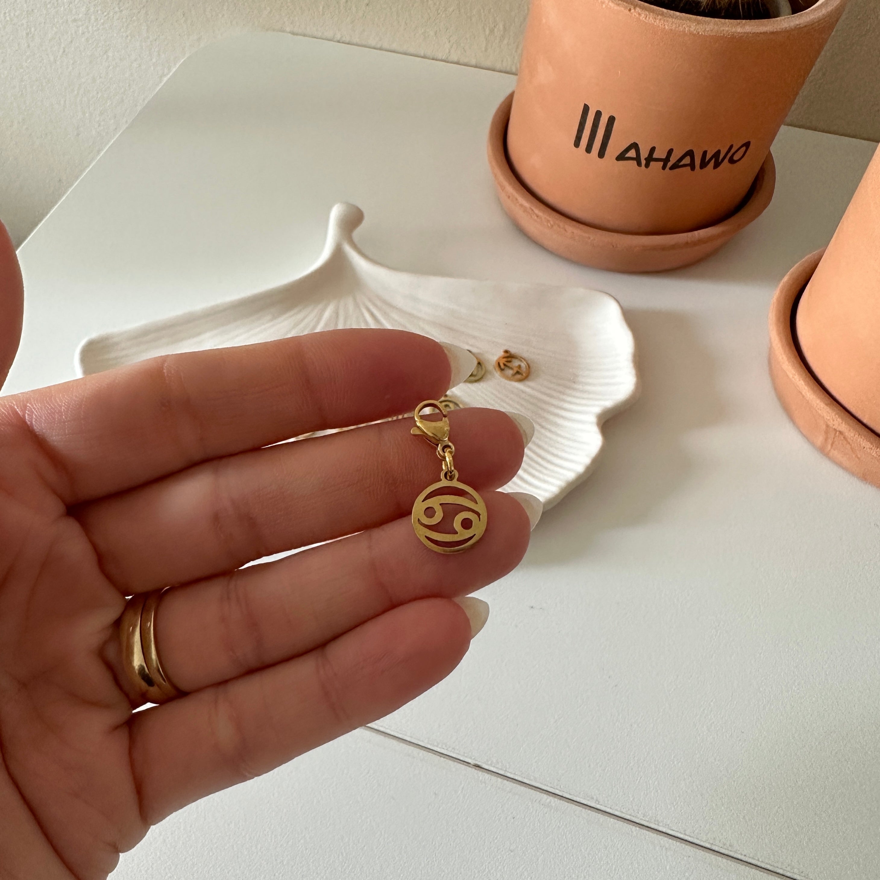 Zodiac Charms